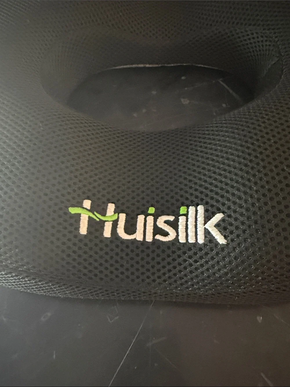 Huisilk Embroidered Black Mesh Donut Pillow
